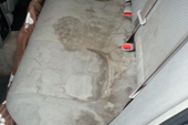 Auto Seat & Carpet Deep Cleaning Kansas City